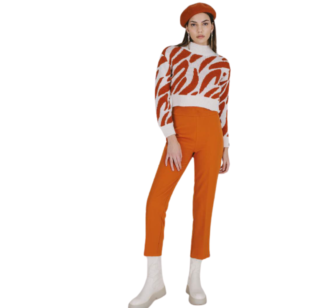 Broek Ruggine Jhenit image 0
